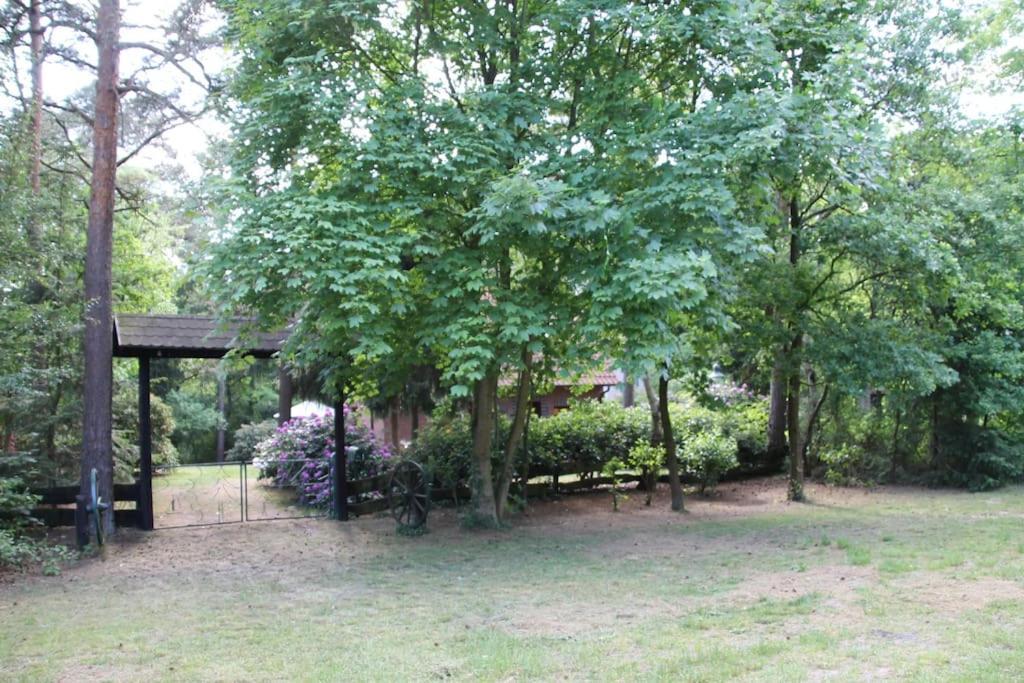 Ferienhaus Am Waldesrand Hatten Ngoại thất bức ảnh