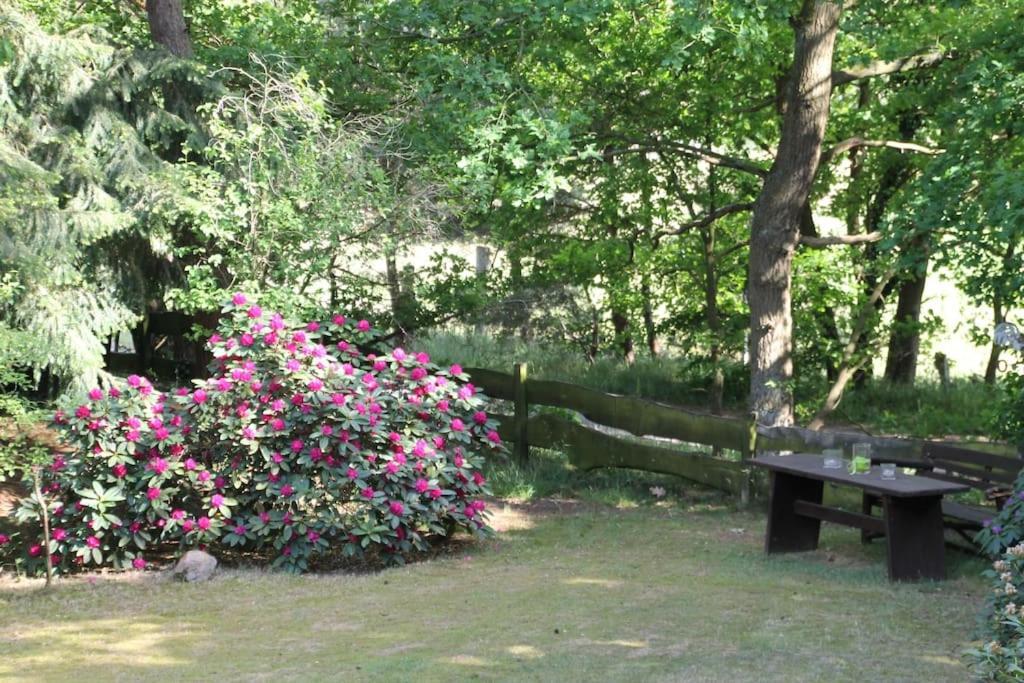 Ferienhaus Am Waldesrand Hatten Ngoại thất bức ảnh