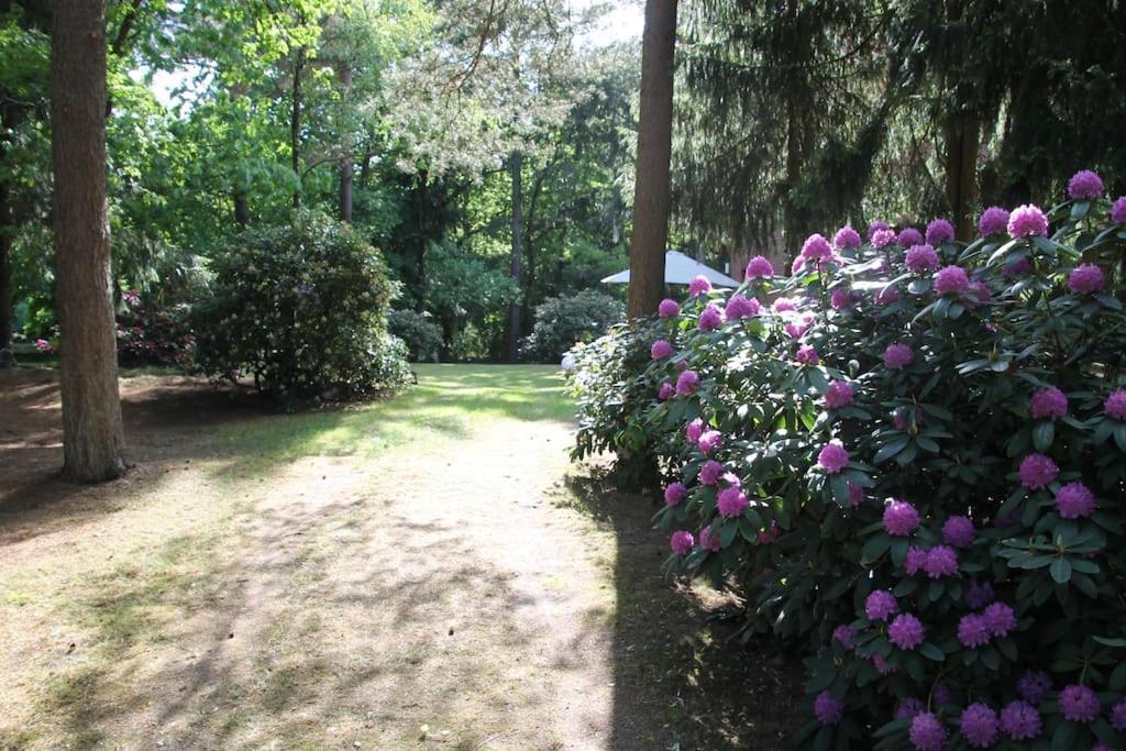 Ferienhaus Am Waldesrand Hatten Ngoại thất bức ảnh