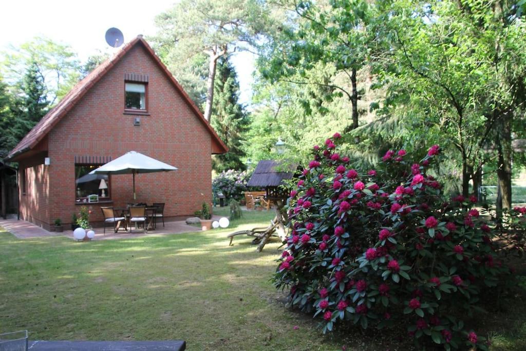 Ferienhaus Am Waldesrand Hatten Ngoại thất bức ảnh